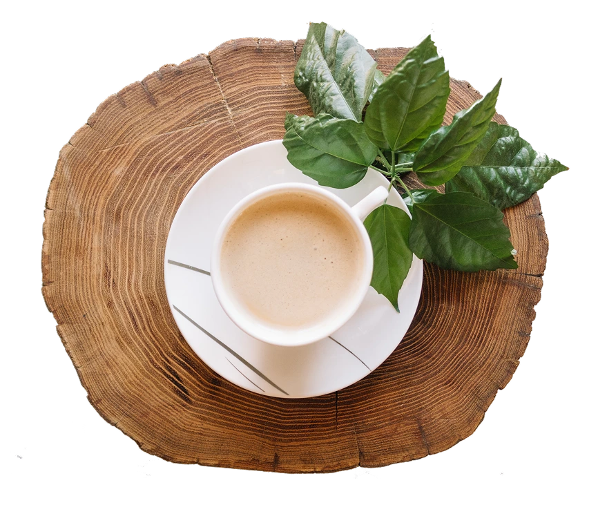 Tea cup on wooden slice